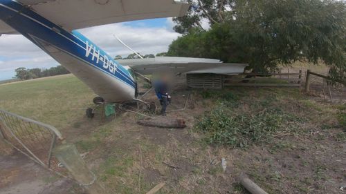 All four skydivers and the pilot walked away from the wreckage with no serious injuries.