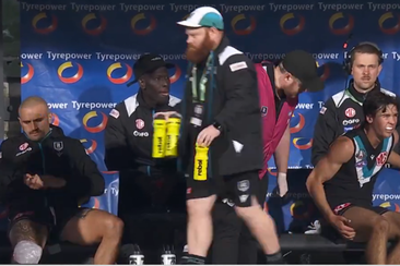 A devastated Port Adelaide bench with Aliir, Powell-Pepper and Rozee all off injured.