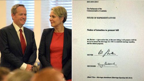 Bill Shorten and Tanya Plibersek have formally called for an amendment to the Australian Marriage Act. (9NEWS)