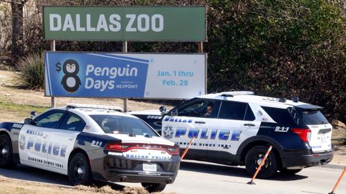 Un paio di auto e ufficiali della polizia di Dallas siedono all'ingresso dello zoo di Dallas