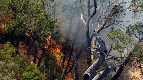 Two people have died after a small plane crashed in Sydney's south-west.A bushfire was started by the accident in thick bushland near Appin Road at Appin in Macarthur at 3pm.