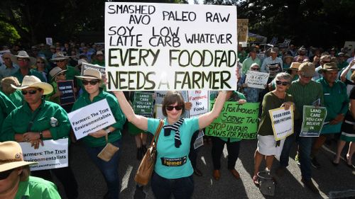 Smashed avo takes another hit. (AAP)