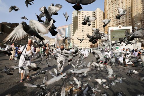 Doves fly around Muslim pilgrims outside the holy Kaaba, as people start arriving to perform the annual Haj in the Grand Mosque, in the holy city of Mecca