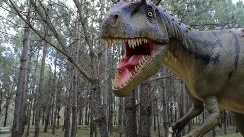 Dinsoaurs were a victim of their own success, new study suggests