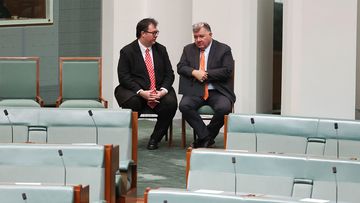 Both George Christensen and Craig Kelly have been approached to run for the United Australia Party.