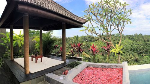 Five workers have reportedly died in a lift accident at Ayuterra Resort in Ubud, Bali.