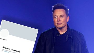 Elon Musk and suspended Twitter account