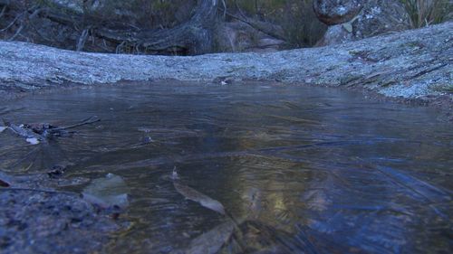 The bureau expects cold overnight temperatures to persist until early next week. Image: 9News