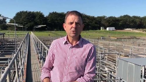 The political future of South Australian MP Nick McBride is hanging in the balance after he was arrested and charged with assaulting his wife. 