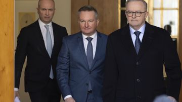 Matt Kean, Minister for Climate Change and Energy Chris Bowen and Prime Minister Anthony Albanese during a press conference at Parliament House in Canberra on Monday 24 June 2024.