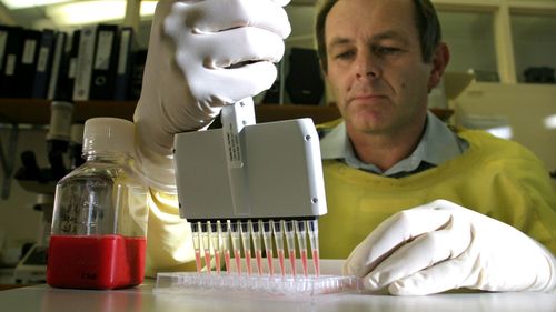 A lab technician works with cultures of the influenza virus.