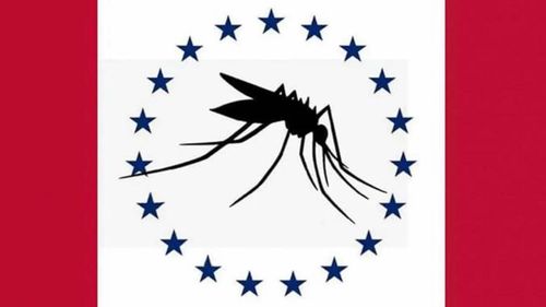 The proposed Mosquito flag.