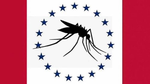 Typo blamed after mosquito flag is short-listed for US state