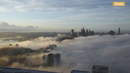 Sydney fog