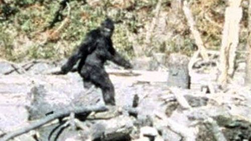 FBI tested suspected Bigfoot hairs in the 1970s