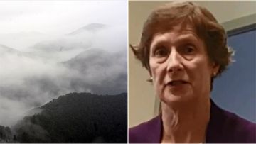 Carol Ann Rice died when she fell from a cliff on the heritage listed Kumano Kodo pilgrimage trail in Japan.