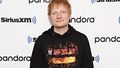 Ed Sheeran wants to build a burial chamber in his backyard 
