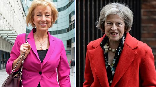 British prime ministerial candidate Andrea Leadsom faces backlash over motherhood comments