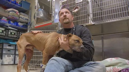 US officer comforts pit bull allegedly abandoned by dogfighting owners