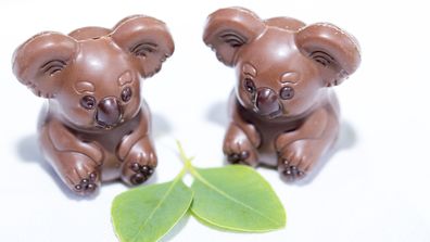 Wild Life Sydney Zoo and Oh! Boo koala chocolates