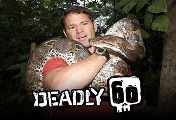 Deadly 60
