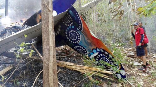 The crash site of the private plane in Guanacaste. (AAP)