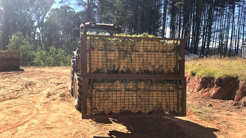 A tractor carries two large bundles of illegal tobacco at a NSW farm.