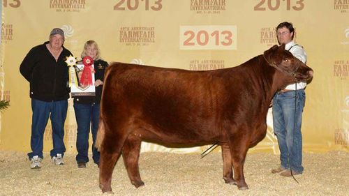 The Haycocks with a prize winning Red Angus in 2013. (Supplied)
