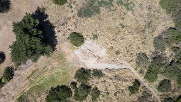 The burial site of the whale seen from above.