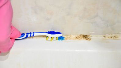 Cleaning moldy tile with a toothbrush at bathroom