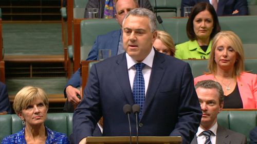 Treasurer Joe Hockey has delivered the 2015-16 Federal Budget. (9NEWS)