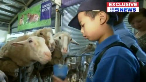 There are some great-and cuddly- attractions on-site at the Sydney Easter Show. (9NEWS)