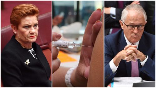Turnbull slams Hanson over vaccination 'blackmail' row