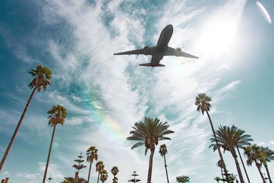 Plane flying above palm trees in blue skies