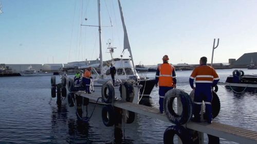 About one tonne of illicit drugs has been found on a West Australian island after a yacht ran aground on a reef.