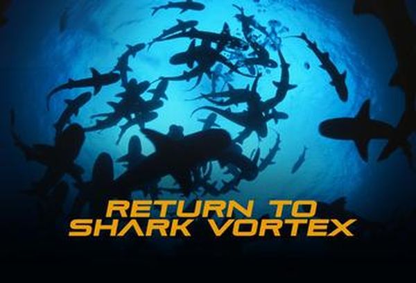 Return To Shark Vortex