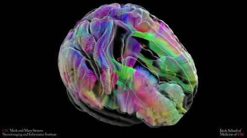  Multiple surgeries could lead to cognitive decline, an Australian study has found.