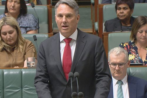 Deputy Prime Minister Richard Marles