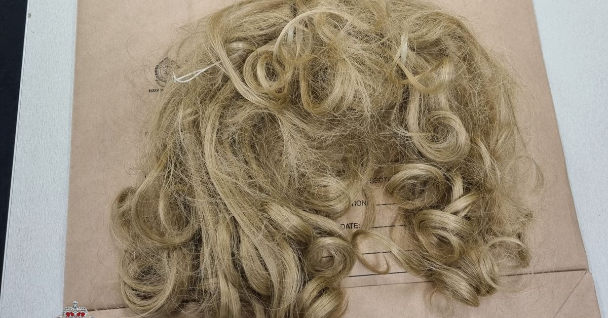 Wig-wearing alleged TV thief charged in Sydney