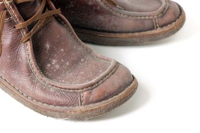 Fungus on brown leather boots shoes, mould
