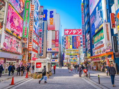 Crowds pass below colourful signs in Akihabara. The historic district electronics has evolved into the shopping area for video games, anime, manga, and computer goods.