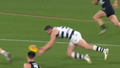 Fears for Dangerfield after second hamstring injury