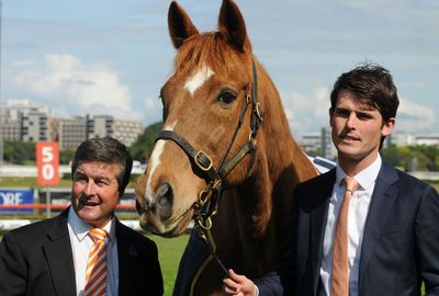 His 10th Cup winner Saintly, was a star attraction at Randwick last weekend.
