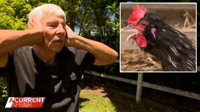 Man says wife flew the coop after neighbouring rooster ruckus.
