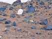 Boulder unlike any encountered before spotted on Mars