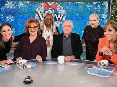 The View, Whoopi Goldberg, Meghan McCain, Robert De Niro, panel