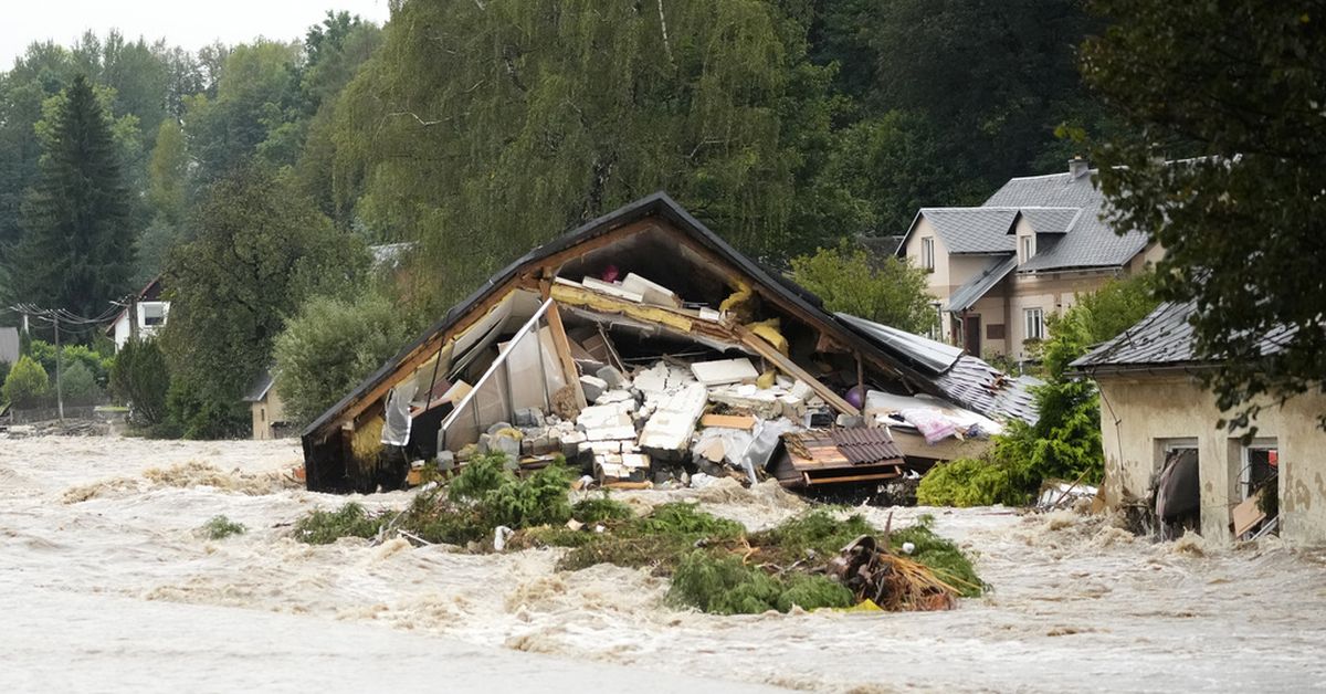 由于暴雨和洪水迫使中欧大量民众撤离，死亡人数上升。