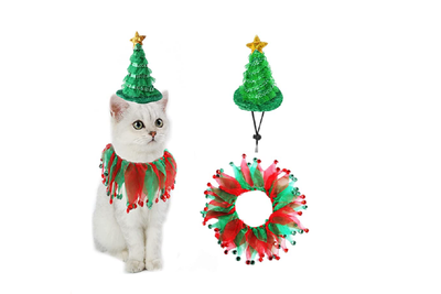 Cat Christmas novelty dress ups 