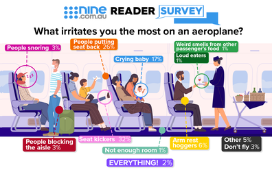 What irritates travellers on flights