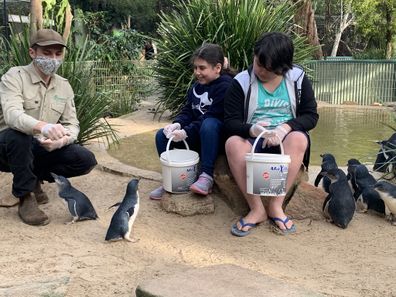 Giovanni and Caterina feed the penguins at the zoo.